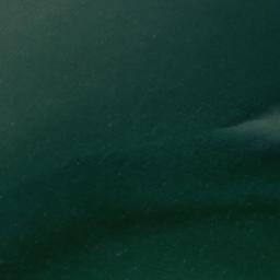 Satellite imagery of Long Point, IE