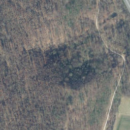 Satellite imagery of Kleiner Schmalenberg, DE