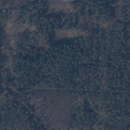 Satelita