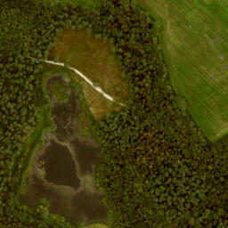 Satellite imagery of Leur, NL
