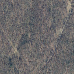 Satellite imagery of Kleiner Schmalenberg, DE