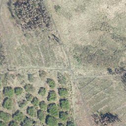 Satellite imagery of Spitzenberg, DE