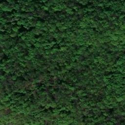 Satellite imagery of Voßberg, DE