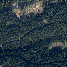 Satellite imagery of Mittelberg, DE