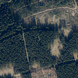 Satellite imagery of Mittelberg, DE