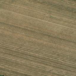 Satellite imagery of Pawłowice - Pałac, PL