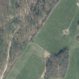 Satellite imagery of Großer Schmalenberg, DE