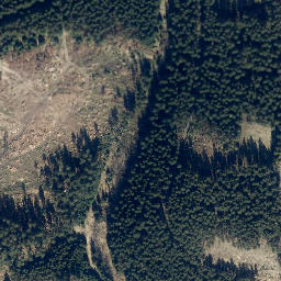 Satellite imagery of Mittelberg, DE
