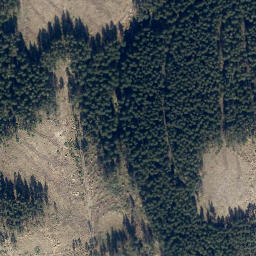 Satellite imagery of Mittelberg, DE