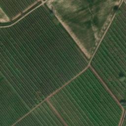 Satellite imagery of Penrhos Castle, GB