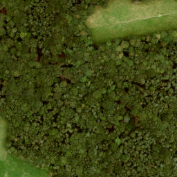 Satellite imagery of Mergelp, NL