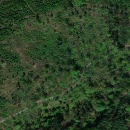 Satellite imagery of Beerberg, DE
