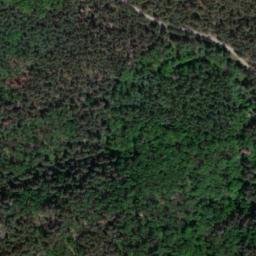 Satellite imagery of Regenstein, DE
