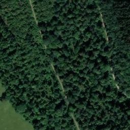 Satellite imagery of Staunton Coleford Castle Field, GB