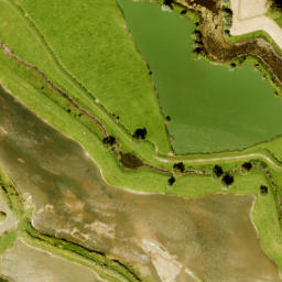 Satellite imagery of Slot Loevestein, NL