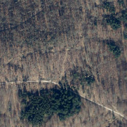 Satellite imagery of Appenröder Berg, DE