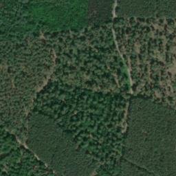 Satellite imagery of Diesthöhe, DE