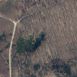 Satellite imagery of Kahlberg, DE