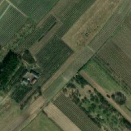 Satelita