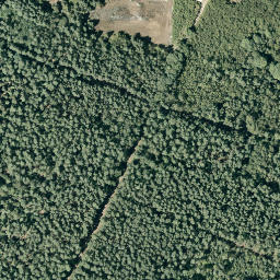 Satellite imagery of Twebrink, DE