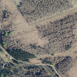 Satellite imagery of Mittelberg, DE