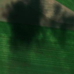 Satellite imagery of survey_point, DE