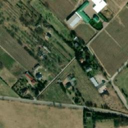 Satelita