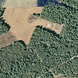 Satellite imagery of Twebrink, DE