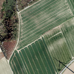 Satellite imagery of Schierenberg, DE