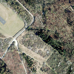 Satellite imagery of Rauschenberg, DE