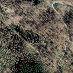 Satellite imagery of Rauschenberg, DE