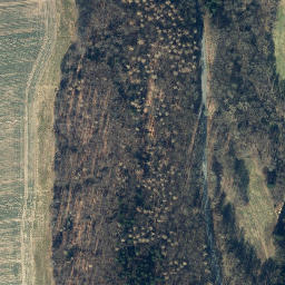 Satellite imagery of Horstberg, DE