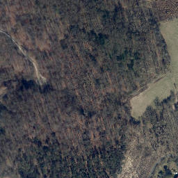 Satellite imagery of Dohrenberg, DE