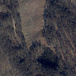 Satellite imagery of Dohrenberg, DE