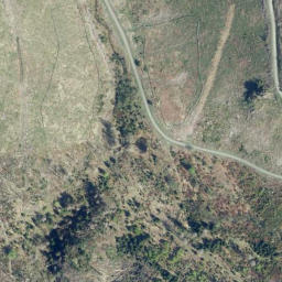 Satellite imagery of Mittelberg, DE