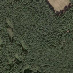 Satellite imagery of Schneideberg, DE