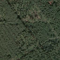 Satellite imagery of Schneideberg, DE