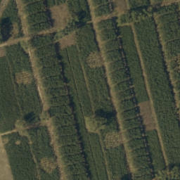 Satellite imagery of 187, 188, 202, 203, PL