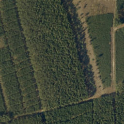 Satellite imagery of 187, 188, 202, 203, PL