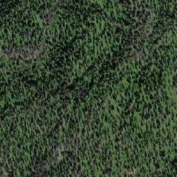 Satellite imagery of Buck Hill, CA