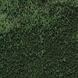 Satellite imagery of Buck Hill, CA