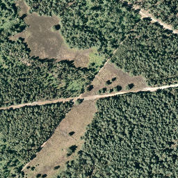 Satellite imagery of Twebrink, DE
