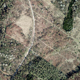 Satellite imagery of Rauschenberg, DE