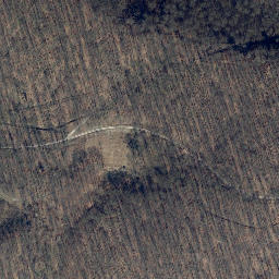 Satellite imagery of Dohrenberg, DE