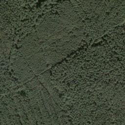 Satellite imagery of Schneideberg, DE