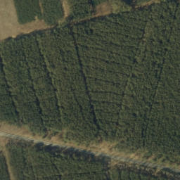 Satellite imagery of 187, 188, 202, 203, PL