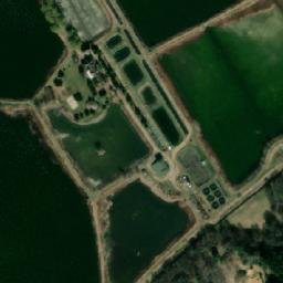 Satelita