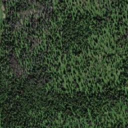 Satellite imagery of Buck Hill, CA