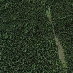 Satellite imagery of Buck Hill, CA