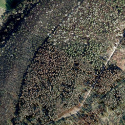 Satellite imagery of Rauschenberg, DE
